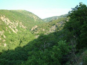 DSCF1239 (1)